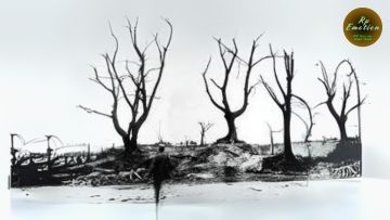 लौटने की कोशिश